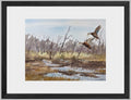 Black Duck Pair