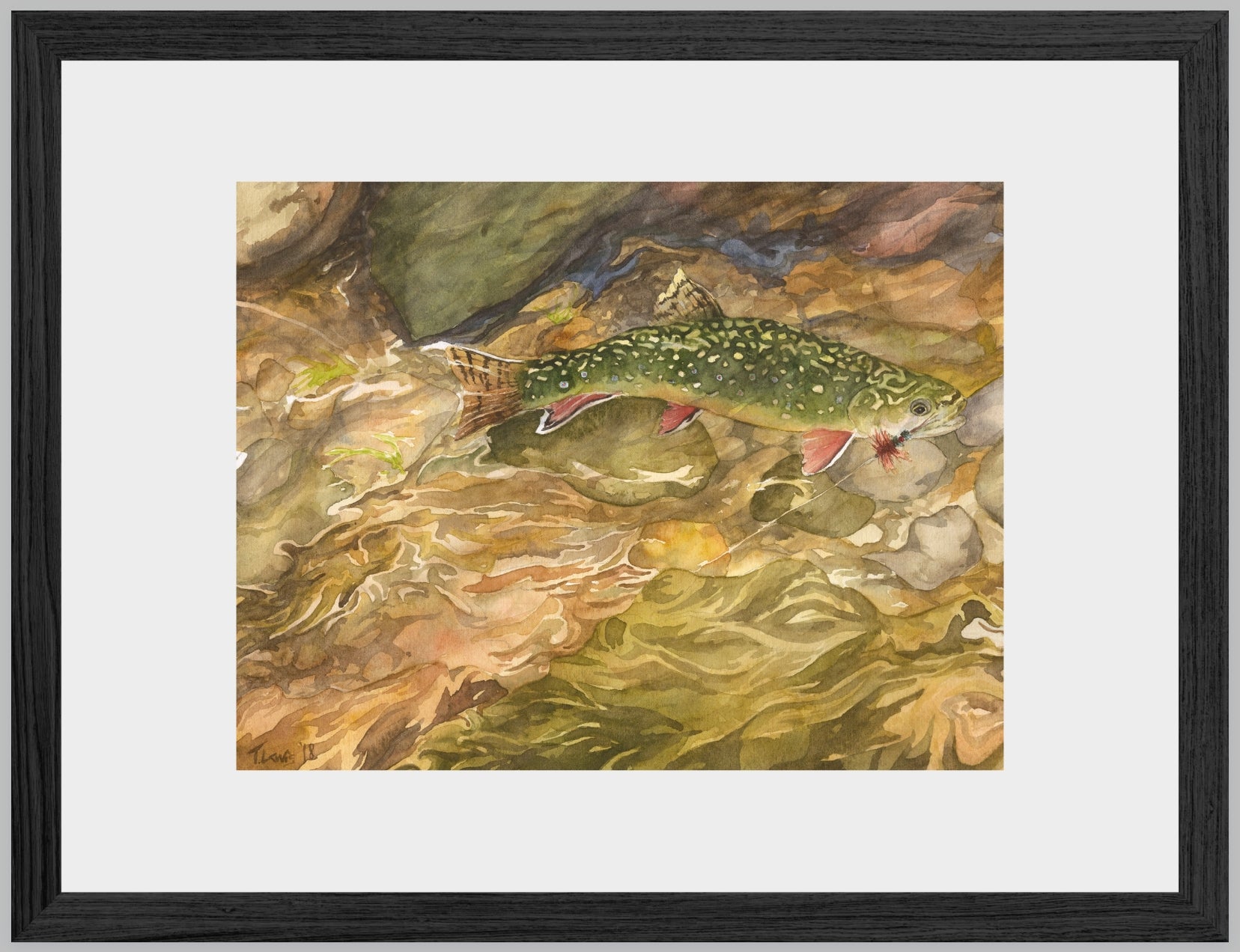 Swirling Brook Trout