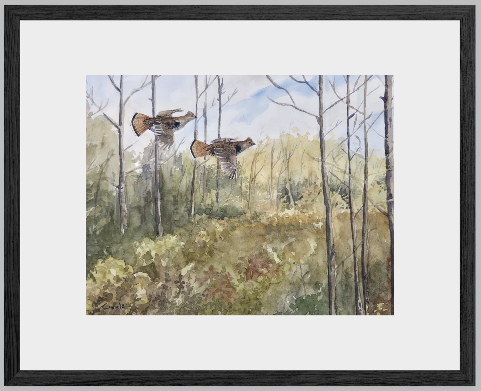 Flushing Grouse Pair